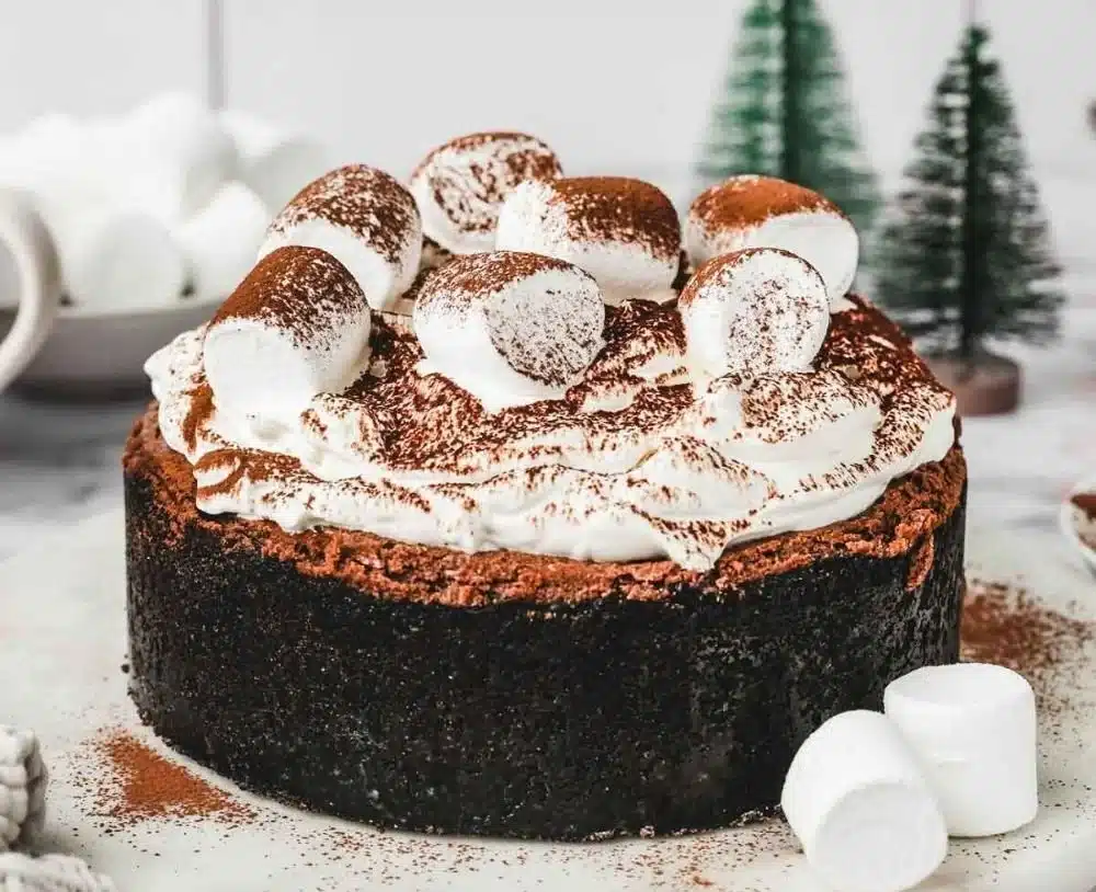 Delicious hot chocolate cheesecake topped with whipped cream and chocolate pieces