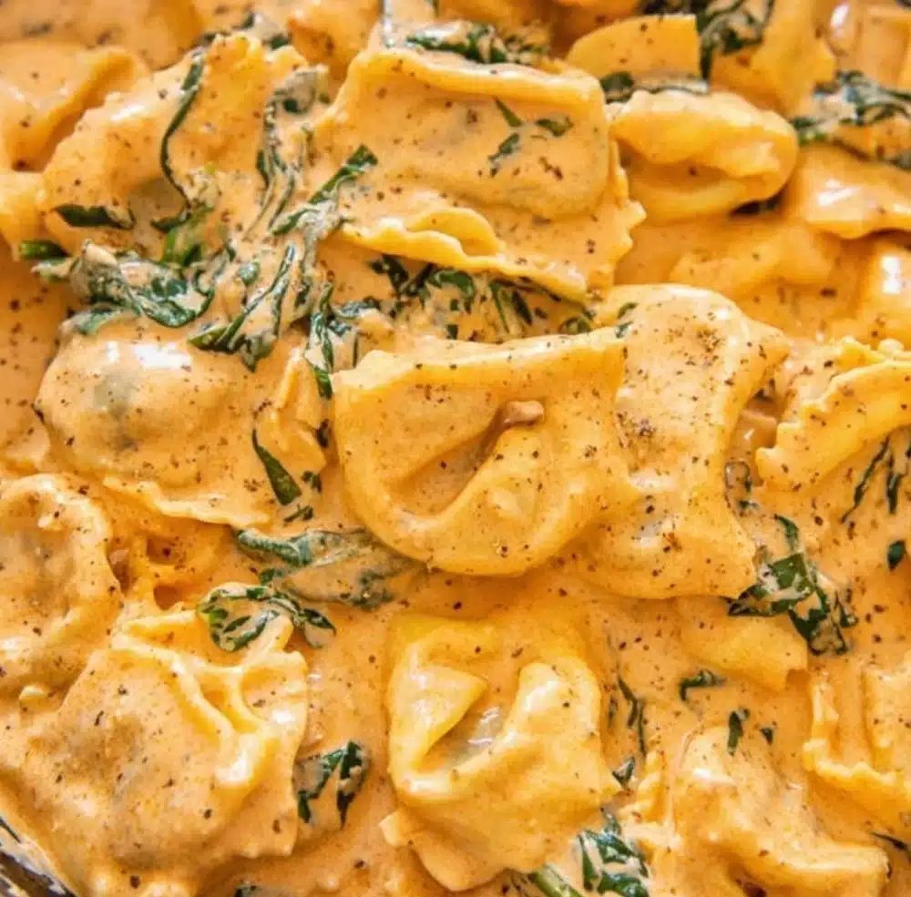 Delicious tortelloni with creamy tomato sauce and spinach served in a bowl