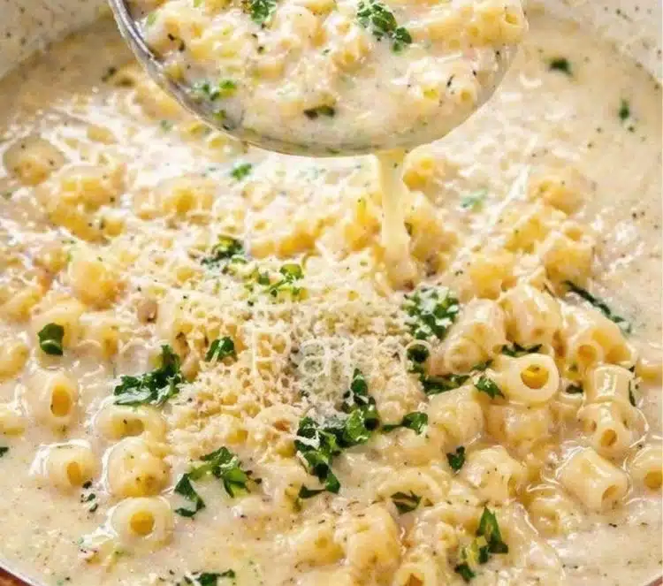 Viral Garlic Parmesan Pasta Soup – Easy One Pot Soup for Beginner Lunch Recipes